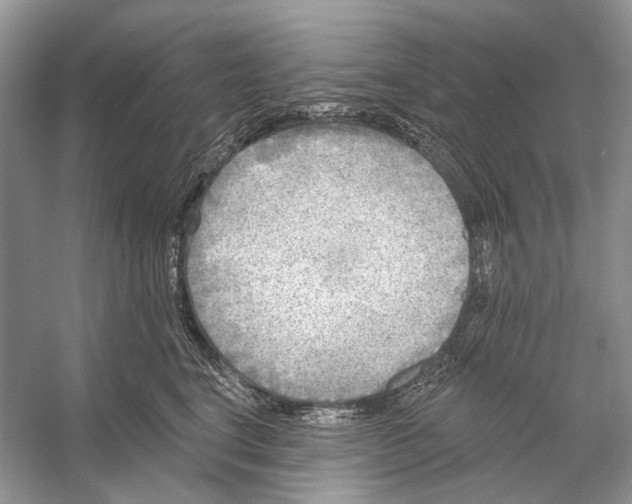 X0000053120664200508081253