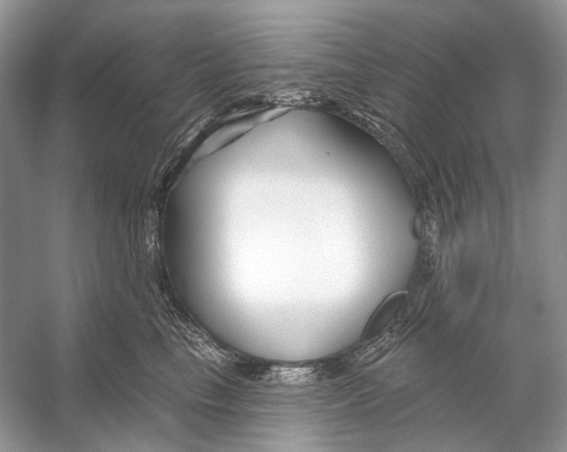 X0000053120665200508081253