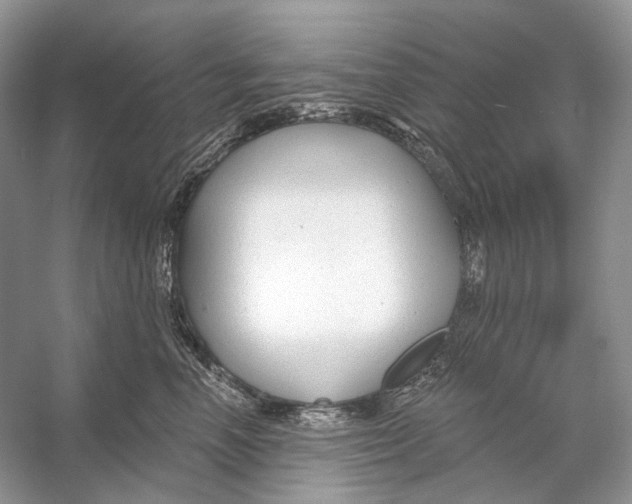 X0000053120666200508081253