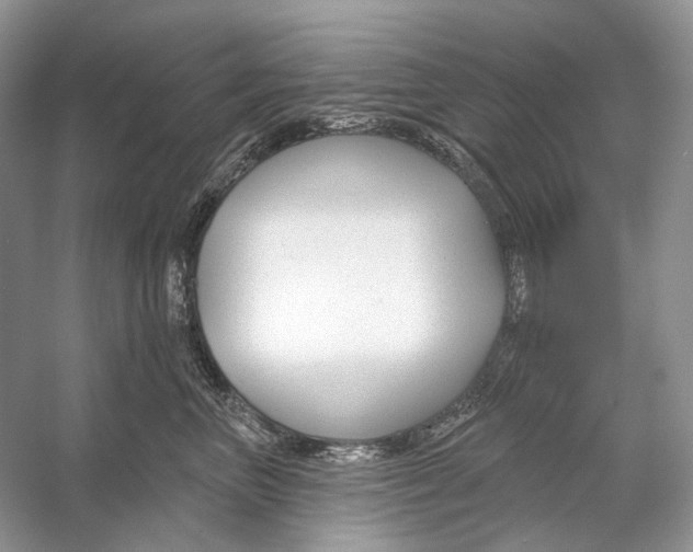 X0000053120667200508081253