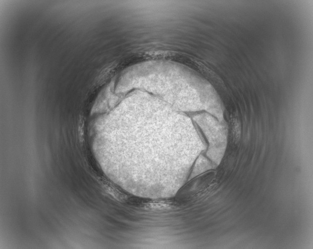 X0000053120668200508081253