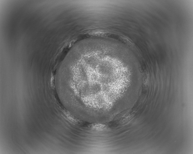 X0000053120669200508081253