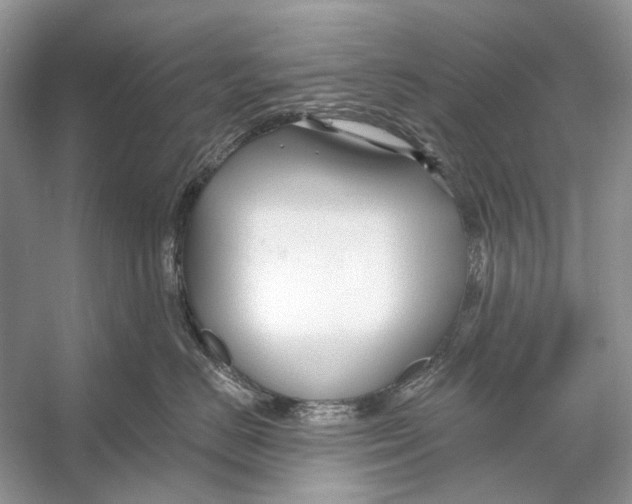 X0000053120670200508081253