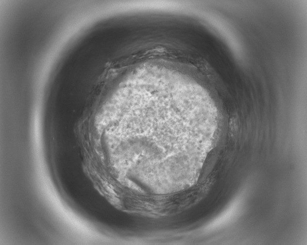 X0000053120671200508081253