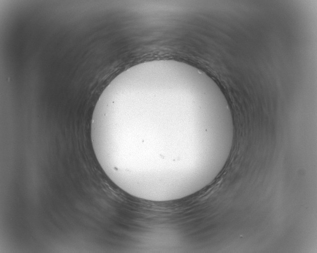 X0000053120672200508081253