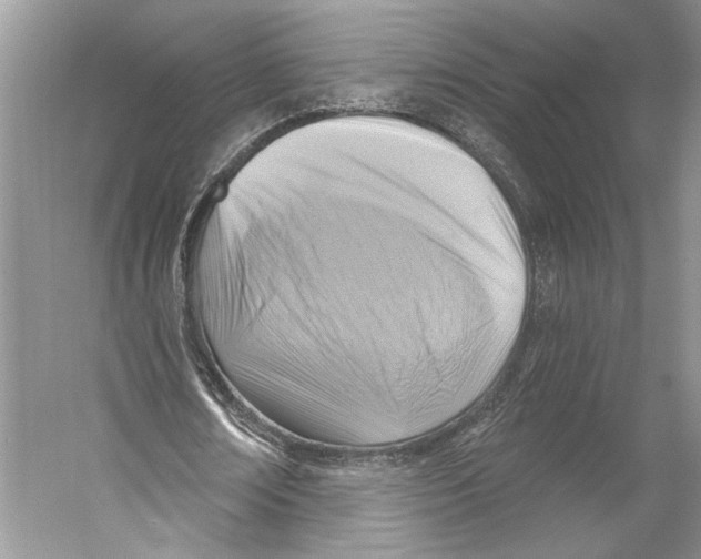 X0000053120674200508081252