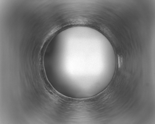 X0000053120675200508081252