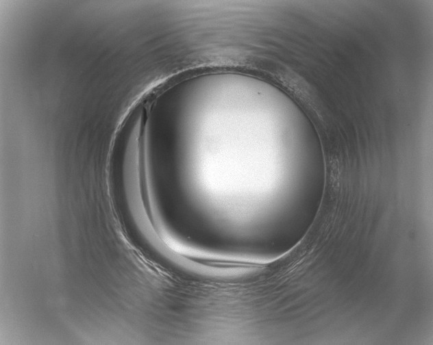 X0000053120676200508081252