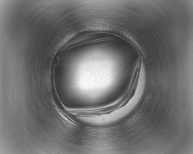 X0000053120677200508081252