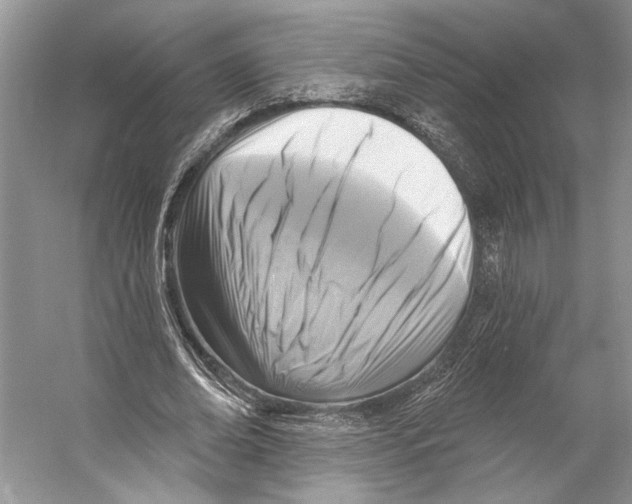 X0000053120678200508081252