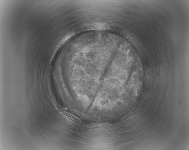 X0000053120679200508081252