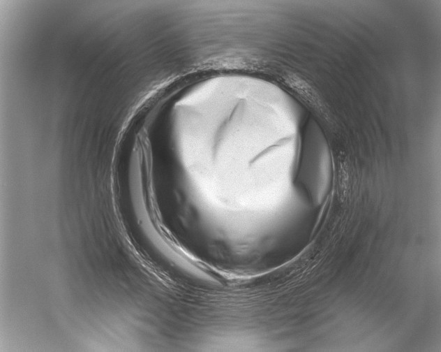 X0000053120680200508081252