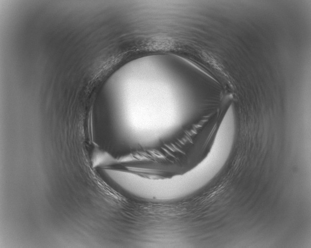 X0000053120681200508081252