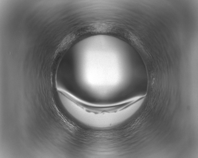 X0000053120685200508081252