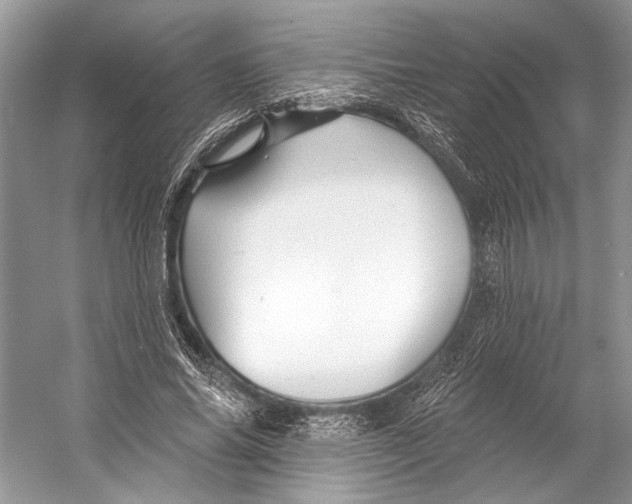 X0000053120686200508081252