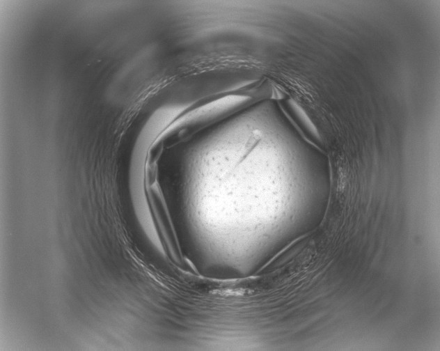 X0000053120687200508081252