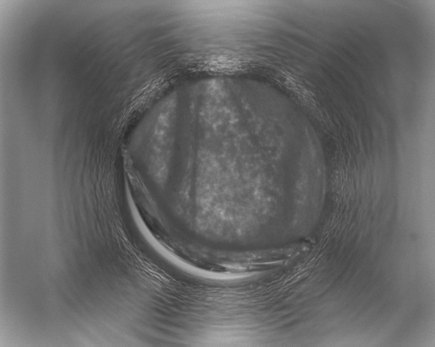 X0000053120689200508081252