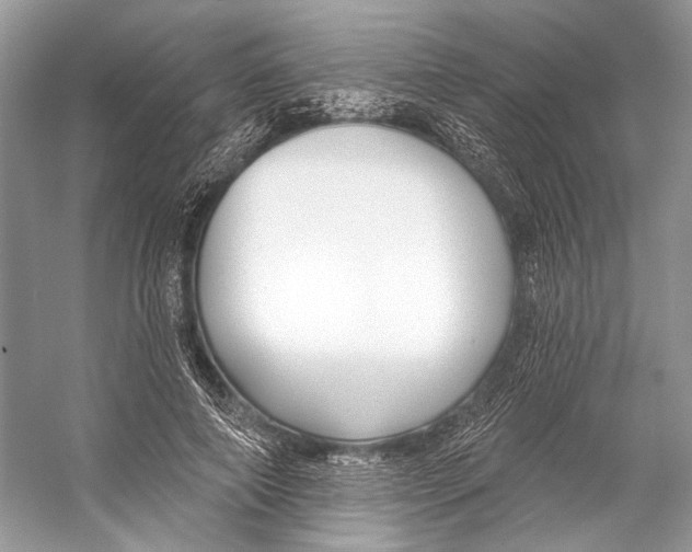 X0000053120690200508081252