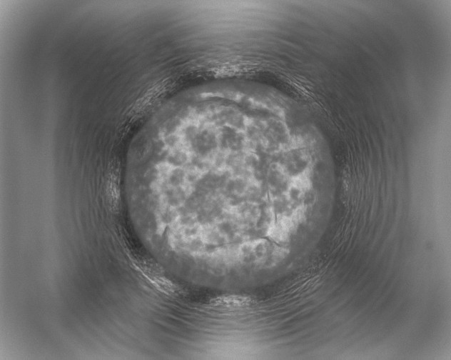 X0000053120691200508081252