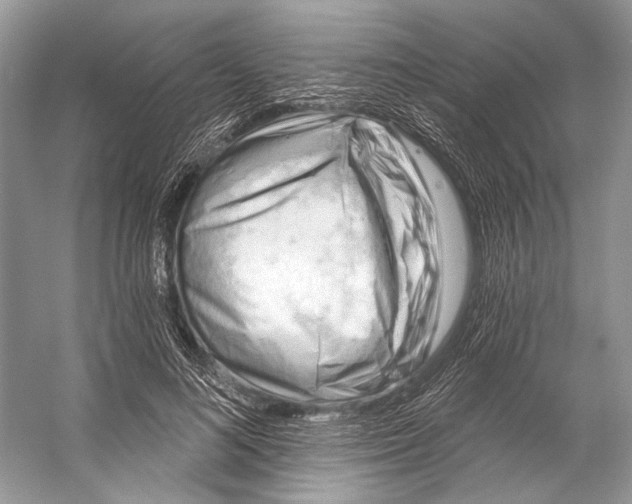 X0000053120692200508081252