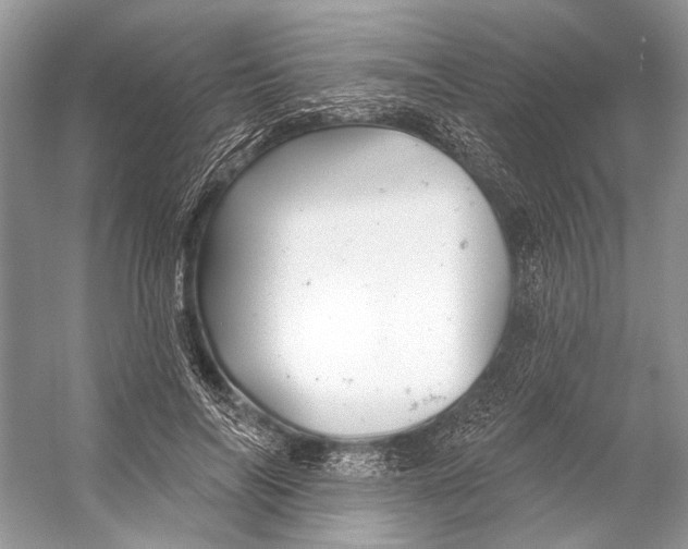 X0000053120694200508081252