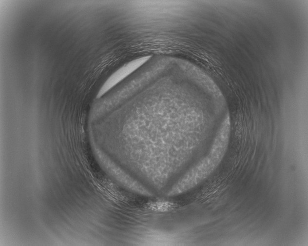 X0000053120695200508081252