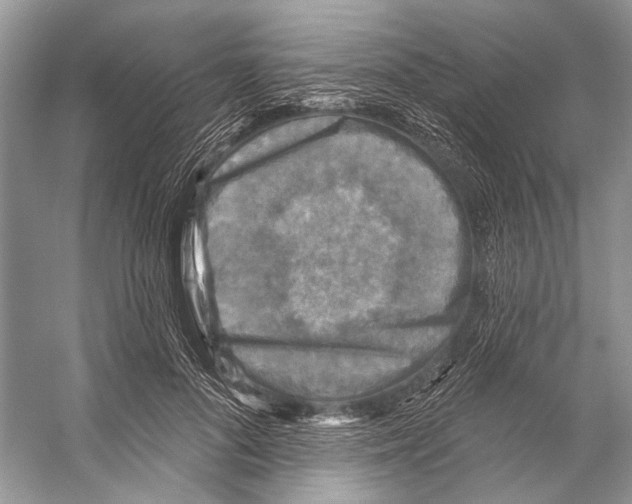 X0000053120696200508081252