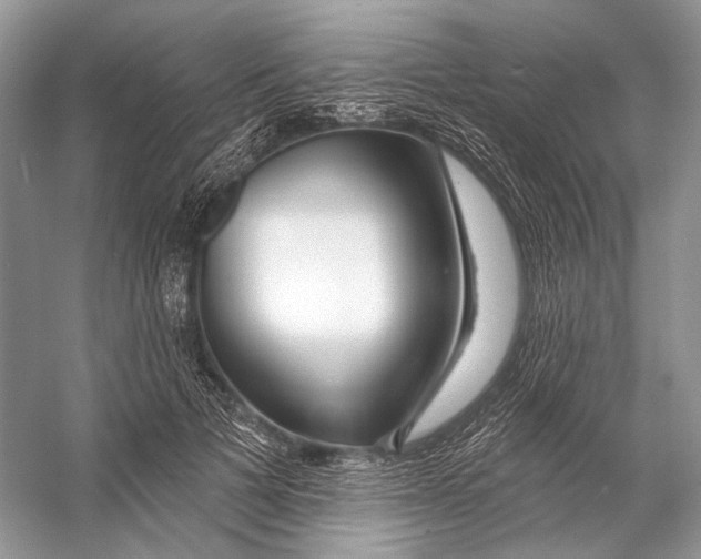 X0000053120697200508081252