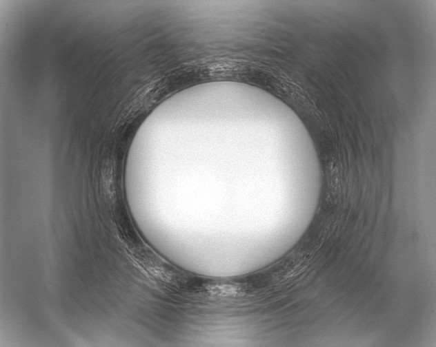 X0000053120698200508081252