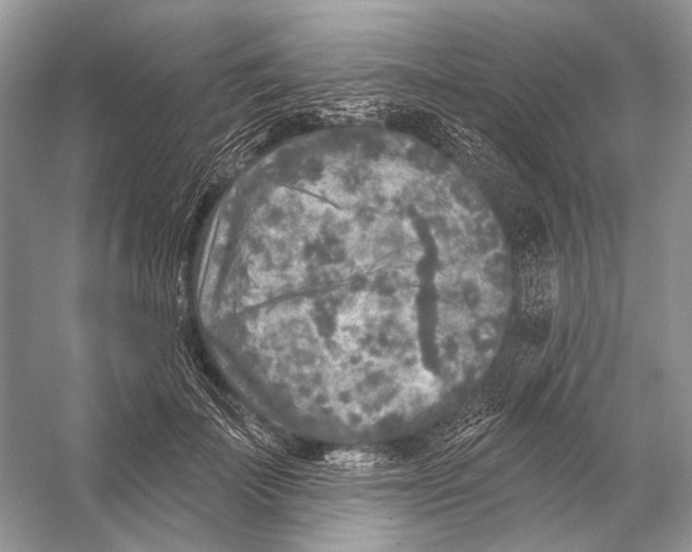 X0000053120699200508081252