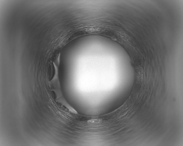 X0000053120700200508081252