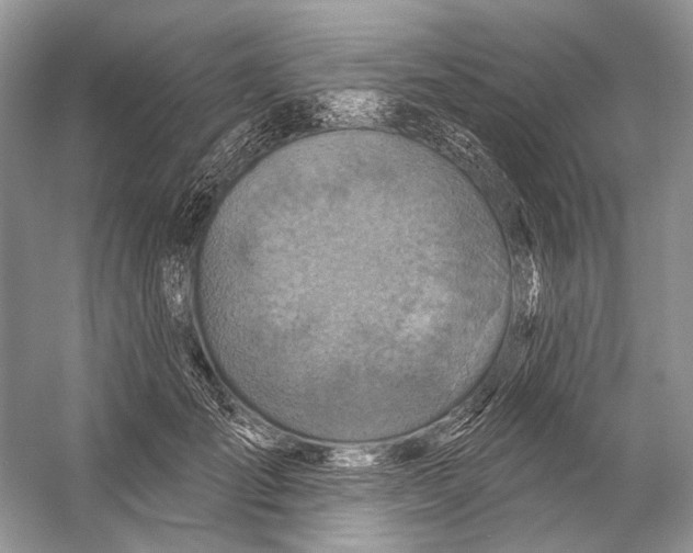 X0000053120701200508081252