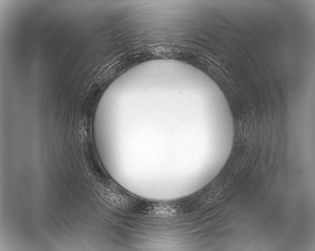 X0000053120702200508081252