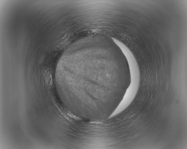 X0000053120703200508081252