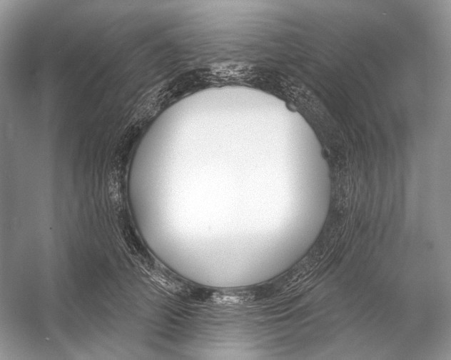 X0000053120706200508081252