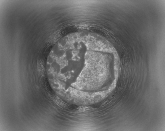 X0000053120707200508081252