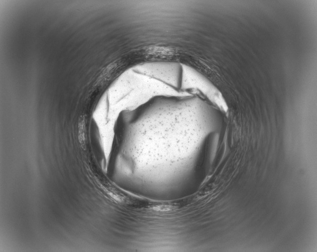 X0000053120708200508081252