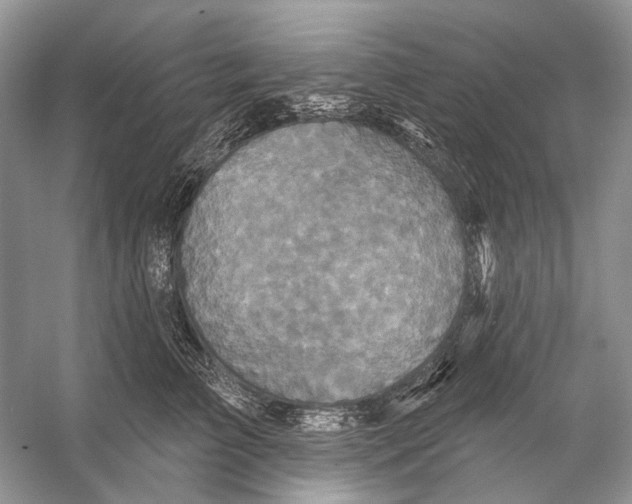 X0000053120709200508081252