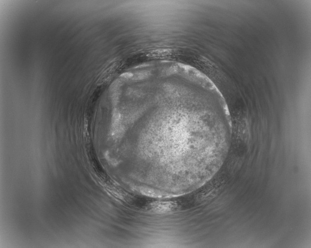 X0000053120711200508081252