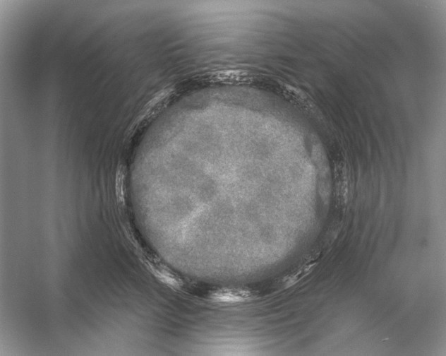 X0000053120712200508081252