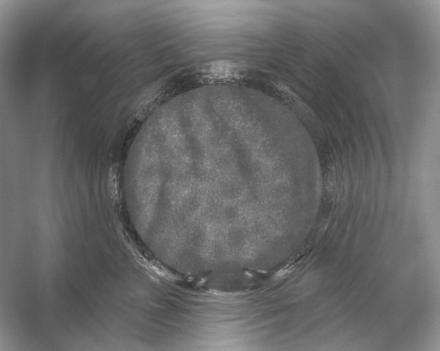 X0000053120715200508081252