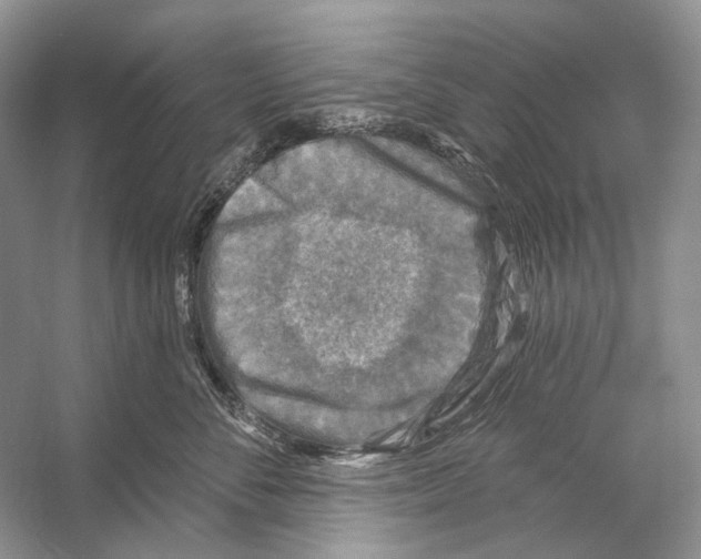 X0000053120716200508081252