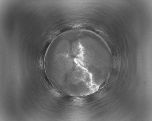 X0000053120718200508081252