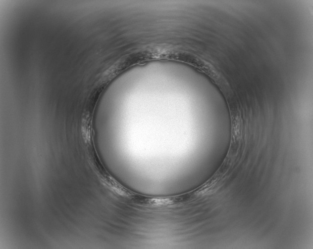 X0000053120719200508081251