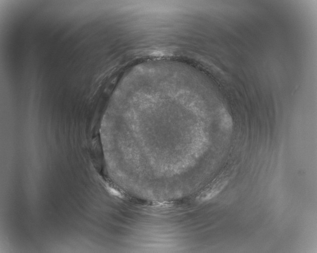 X0000053120720200508081251