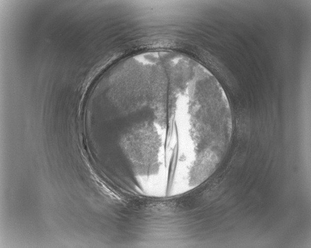 X0000053120721200508081251