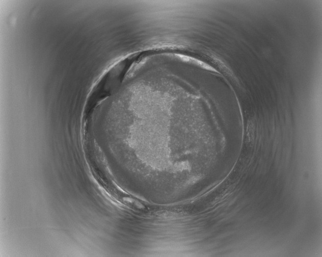 X0000053120722200508081251