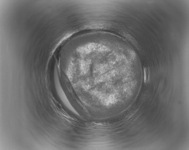 X0000053120723200508081251