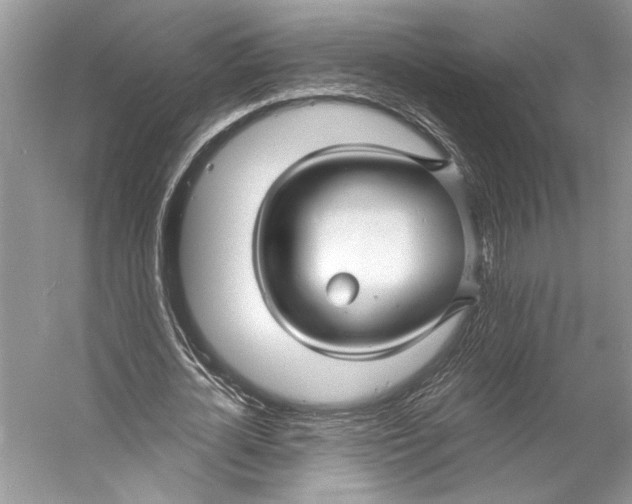 X0000053120724200508081251