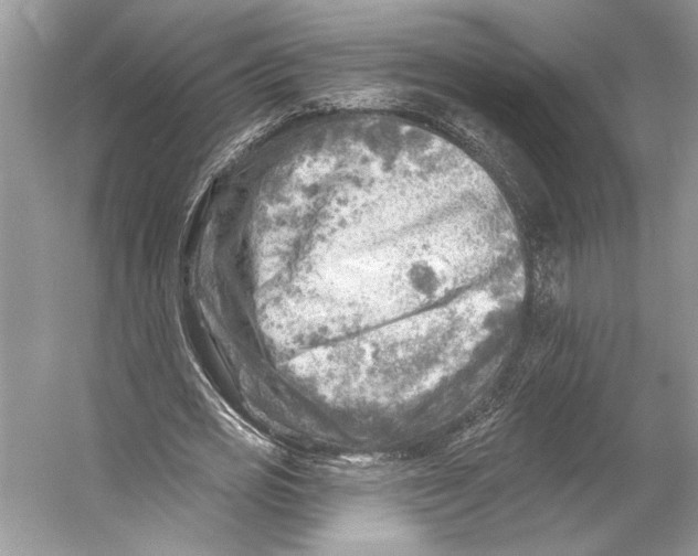 X0000053120725200508081251